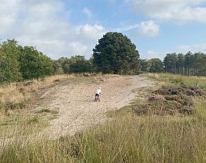 Unterkunft 441603 - Ferienhaus West Brabant - Vakantiehuis in Hoogerheide