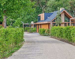 Grne Umgebung im Ferienhaus in Oosterhout, Westbrabant.