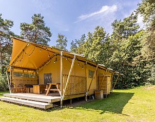 Verblijf 442139 • Vakantiewoning West Brabant • Safaritent 6 