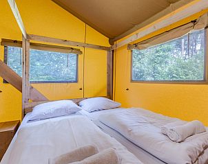 Unterkunft 442139 - Zelthaus West Brabant - Safaritent 6