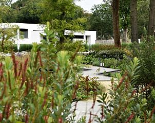 Grne Umgebung von Cottage in Oosterhout, Ferienhaus in Oosterhout, Westbrabant, Nordbrabant.