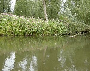 Rustige waterkant met bloemen bij Huisje in Drimmelen, vakantiehuis in West Brabant omringd door natuur.
