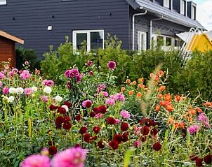 Guest house 442509 - Holiday property West Brabant - Huisje in Molenschot