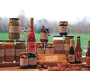 Guest house 442509 - Holiday property West Brabant - Huisje in Molenschot