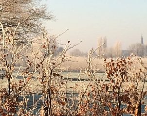 Guest house 442605 - Holiday property West Brabant - Huisje in Rijsbergen