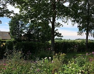 Guest house 442605 - Holiday property West Brabant - Huisje in Rijsbergen