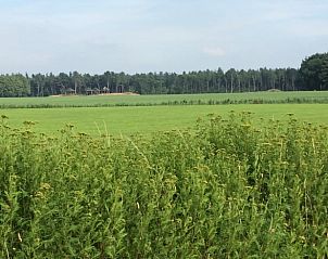 Guest house 442605 - Holiday property West Brabant - Huisje in Rijsbergen