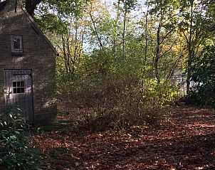 Guest house 442607 - Holiday property West Brabant - Huisje in Rijsbergen