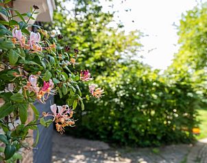 Verblijf 442805 - Vakantiewoning West Brabant - Vakantiehuisje in De Heen