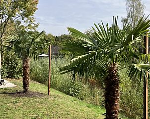 Unterkunft 443028 - Ferienhaus West Brabant - Forest Escape-Luxe natuurhuis met Sauna & Jacuzzi