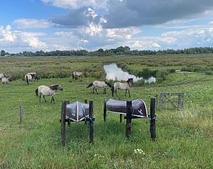 Guest house 443210 - Holiday property West Brabant - Huisje in Werkendam