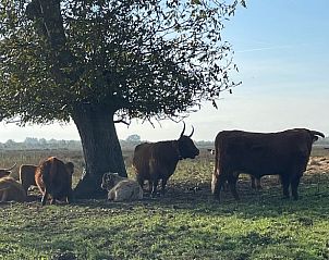 Guest house 443210 - Holiday property West Brabant - Huisje in Werkendam