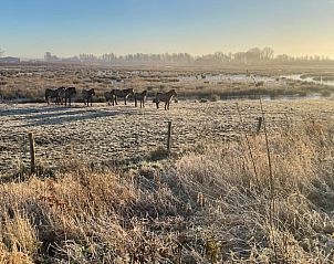 Guest house 443210 - Holiday property West Brabant - Huisje in Werkendam