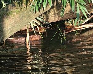 Verblijf 443215 - Vakantiewoning West Brabant - Vakantiehuis in Werkendam