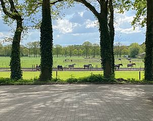 Unterkunft 443601 - Ferienhaus West Brabant - Vakantiehuis in Huijbergen