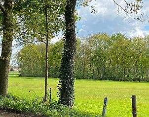 Unterkunft 443601 - Ferienhaus West Brabant - Vakantiehuis in Huijbergen