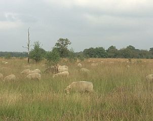 Unterkunft 443601 - Ferienhaus West Brabant - Vakantiehuis in Huijbergen