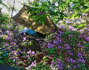 Unterkunft 443605 - Ferienhaus West Brabant - Treelodge