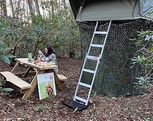 Unterkunft 443605 - Ferienhaus West Brabant - Treelodge