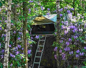 Unterkunft 443605 - Ferienhaus West Brabant - Treelodge