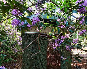 Unterkunft 443605 - Ferienhaus West Brabant - Treelodge