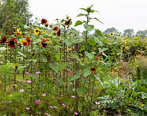 Unterkunft 443701 - Ferienhaus West Brabant - Vakantiehuis in Zegge