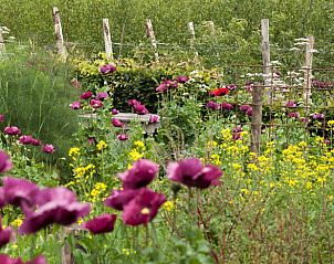 Unterkunft 443701 - Ferienhaus West Brabant - Vakantiehuis in Zegge