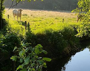 Guest house 443808 - Holiday property West Brabant - Huisje in Ulvenhout Ac