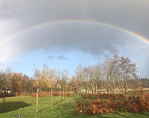 Guest house 443809 - Holiday property West Brabant - Huisje in Ulvenhout AC