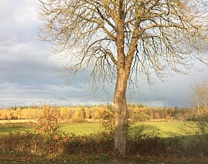 Guest house 443809 - Holiday property West Brabant - Huisje in Ulvenhout AC