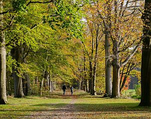 Guest house 443811 - Holiday property West Brabant - Jager en Hooijmijt xl