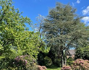 Guest house 443812 - Holiday property West Brabant - Vakantiehuis in Ulvenhout AC