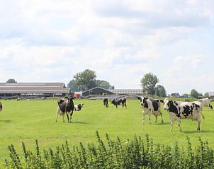 Uitgestrekte weilanden bij Vakantiehuis in Genderen, Noord Brabant. Ervaar het landelijke leven in West Brabant.