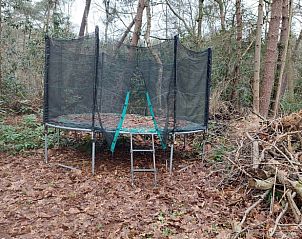 Guest house 444007 - Holiday property West Brabant - Huisje in Schijf