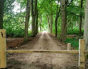 Unterkunft 444203 - Ferienhaus West Brabant - Huisje in Putte