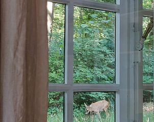 Unterkunft 444203 - Ferienhaus West Brabant - Huisje in Putte