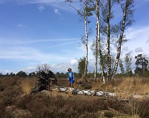 Unterkunft 444203 - Ferienhaus West Brabant - Huisje in Putte