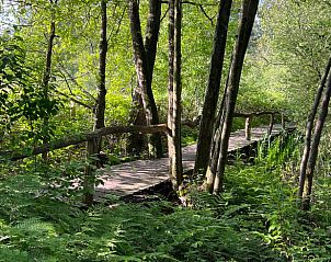 Natuurlijke houten brug in de omgeving van Vakantiehuisje in Strijbeek, rustgevende natuur.