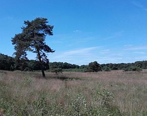 Guest house 444402 - Holiday property West Brabant - Vakantiehuis in Strijbeek