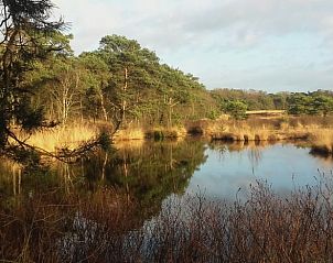 Guest house 444402 - Holiday property West Brabant - Vakantiehuis in Strijbeek