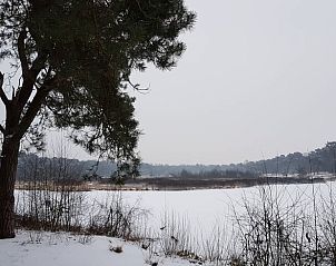 Guest house 444402 - Holiday property West Brabant - Vakantiehuis in Strijbeek