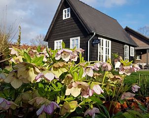 Guest house 444402 - Holiday property West Brabant - Vakantiehuis in Strijbeek