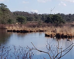 Guest house 444402 - Holiday property West Brabant - Vakantiehuis in Strijbeek