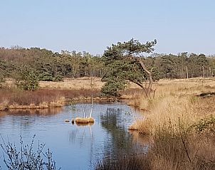 Guest house 444402 - Holiday property West Brabant - Vakantiehuis in Strijbeek