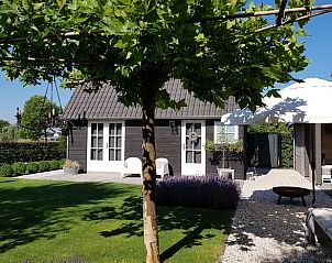 Guest house 444402 - Holiday property West Brabant - Vakantiehuis in Strijbeek