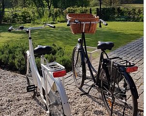 Guest house 444402 - Holiday property West Brabant - Vakantiehuis in Strijbeek