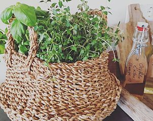 Guest house 444402 - Holiday property West Brabant - Vakantiehuis in Strijbeek