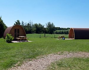 Gezellig terras bij Huisje in Wagenberg, Noord Brabant, ideaal voor ontspanning in de natuur.