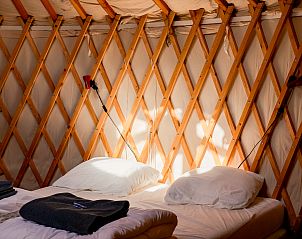 Unterkunft 444807 - Ferienhaus West Brabant - Yurt