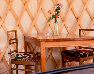 Unterkunft 444807 - Ferienhaus West Brabant - Yurt
